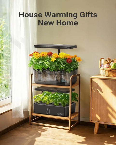 12 Pod Indoor Led Hydroponic System Kit With Self Watering 5L Reservoir Transparent Grow Station For Fresh Herbs And Greens