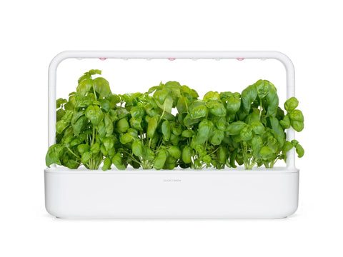 Smart Garden Basil Plant Pods 3 Pack For Indoor Herb Gardens No Green Thumb Needed Fresh Basil At Home Easy Nutritious Kitchen Herb Pods For Quick Flavorful Dishes