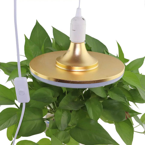 2 Pack E26 E27 LED Light Socket With 5.9 Foot Extension Cord On Off Switch US Plug Pendant Lighting Socket over green plants
