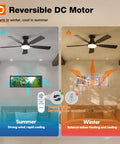 Two Pack 48 Inch Black Ceiling Fans With Lights And Remote Control, Reversible Blades, Dimmable 3CCT Lighting, winter and summer modes