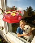 Two Pack Window Hummingbird Feeder With Super Sturdy Suction Cups And Built In Ant Moat attached to window with birds