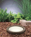In-Ground HID Well Light With 70W Metal Halide Ballast, Wet Rated Landscape Fixture In Architectural Bronze Finish in garden