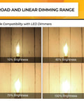 25 Watt E12 LED Candle Bulbs Dimmable 2700K Soft Warm White CA10 Flame Tip Chandelier Light Bulbs 90 Plus CRI 200 Lumens