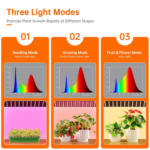Indoor Greenhouse With Grow Lights For Seed Starting, 4 Tier Plant Growing Rack With Zippered PVC Cover, Dimmable 60W Plant Light With Timer, Fits 10x20 Seed Trays, Compact Yet Roomy Indoor Garden Station For Year Round Growth