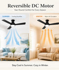 RDHFATL 42" Ceiling Fan with Light, Flush Mount, Remote, 3CCT Dimmable, reversible DC motor for summer and winter airflow.