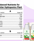 Nutrient chart for hydroponic plant food with two bottles labeled A and B for balanced hydroponics plant care.