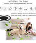 True H13 HEPA Allo Replacement Filter 2 Pack for Mooka Allo Afloia Filo and Honati Air Purifiers beside pet and child