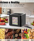 Premium Stainless Steel Food Dehydrator With Led Digital Touch Screen And Adjustable Timer on countertop with fruits and veggies.