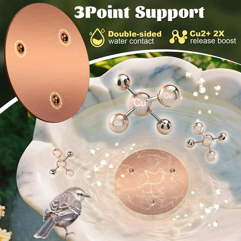 2 Pack Copper Bird Bath Disks With Triple Point Support, shown on a marble bird bath with molecular structure illustration.