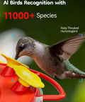 Hummingbird Feeder With Camera For Outdoors Solar Powered 2K Live Video AI Bird ID Ant Guard Base Bee Proof with hummingbird.