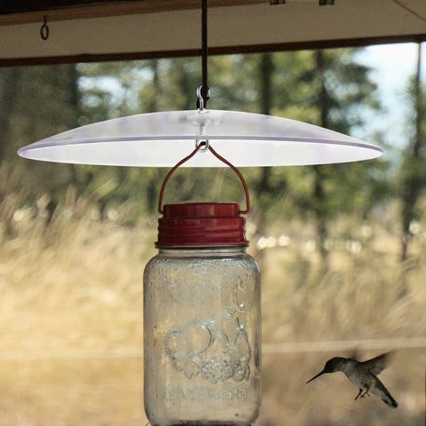 Weatherproof Outdoor Bird Feeder Cover Dome That Hangs As A Protection Shield over glass jar feeder in natural setting