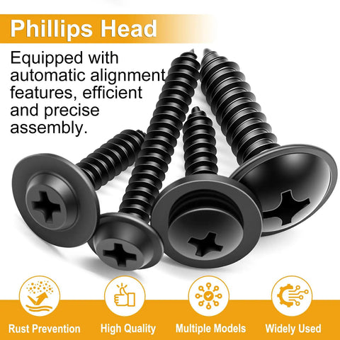 Close-up of Phillips head screws from 280 Piece Automotive Body Screw Kit With Self Tapping Phillips And Washer Head Screws Sizes 8 10 12 14