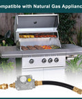 Front view of GASPRO 710-003 natural gas regulator with hose and brass adapters beside a stainless steel gas grill