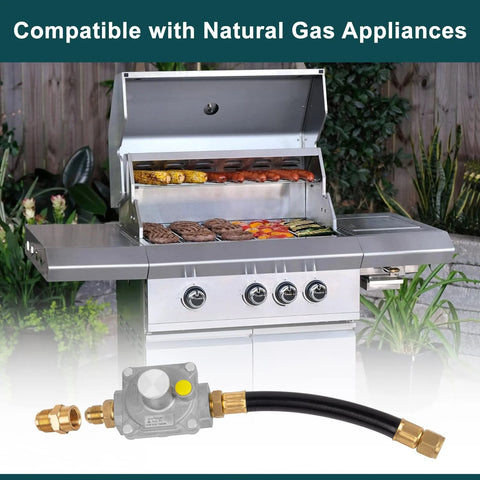 Front view of GASPRO 710-003 natural gas regulator with hose and brass adapters beside a stainless steel gas grill