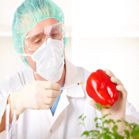 Scientist using Premium 100 Pack 1Ml Luer Lock Syringes With 25Gauge Needles on red bell pepper for precision lab work.