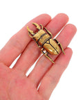 Two Piece Brass Beetle Drawer Knob Set held in hand, showcasing detailed insect design in vintage Gothic cottagecore retro style.