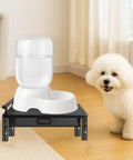 Heavy Duty Elevated Pet Feeding Station With Adjustable Height Base, featuring a water dispenser and fluffy dog beside it.