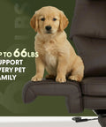 Puppy on oversized chaise lounge chair with wheels and footrest, ultra comfy big seat, scratch resistant air leather, brown.