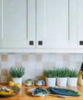 10-Pack Matte Black Cabinet Knobs And Drawer Pulls - Zinc Hardware on white kitchen cabinets above wooden countertop