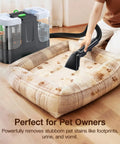 Person using vacuum cleaner on pet bed with paw print design, showing pet stain removal