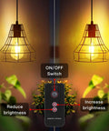 Two solar powered pendant lights for indoor and outdoor use with remote and pull cord, metal cage design, shown with control options.
