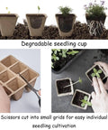 144 Cell Seed Tray Set With 12 Packs Biodegradable Seedling Pots, 100 White Labels And 2 Transplanters shown in use