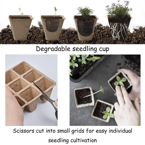 144 Cell Seed Tray Set With 12 Packs Biodegradable Seedling Pots, 100 White Labels And 2 Transplanters shown in use
