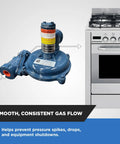 Front view of blue natural gas regulator with 1/2 in NPT inlet and internal relief valve beside a stove.