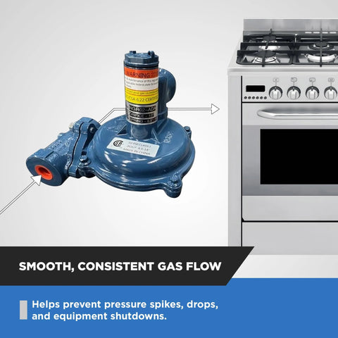 Front view of blue natural gas regulator with 1/2 in NPT inlet and internal relief valve beside a stove.