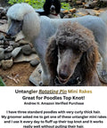 Three poodles with curly hair near rocks, featuring Untangler Rotating Pin Mini Rakes for Poodles Top Knot care.