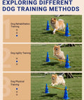 Dog Agility Backyard Course Set With 12 Cones And 6 Durable Rods, Height Adjustable Hurdles At 2 Inches, 5.5 Inches, And 9 Inches