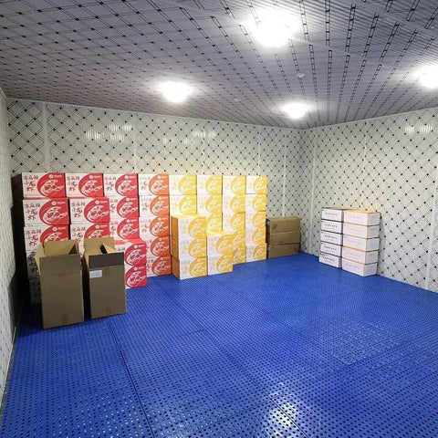 Lightweight Plastic Pallet With Nestable Design And Ventilated Grid for organized warehouse storage with boxes