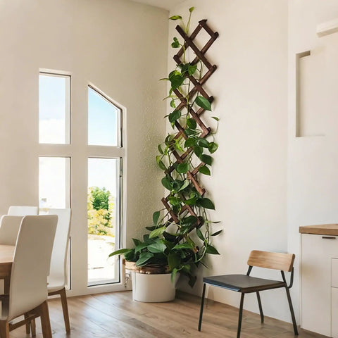 Indoor view of Thick 0.35 Inch Cedar Garden Trellis 13x68 Inch For Climbing Plants Ivy Vine Rose Clematis Outdoor Fence Wall Patio Decor