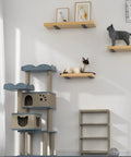 Room with cat shelves supported by Heavy Duty 6 Pack Floating Shelf Brackets 10 Inch Hidden L Brackets, black finish.