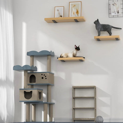 Room with cat shelves supported by Heavy Duty 6 Pack Floating Shelf Brackets 10 Inch Hidden L Brackets, black finish.