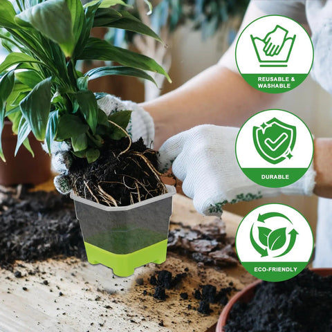 Person transplanting plant with Ten Pack 4 Inch Clear Nursery Pots With Reinforced Silicone Base For Easy Transplant And Root Friendly Seed Starter Seedling Pots With Drainage For Greenhouse Or Garden Use.