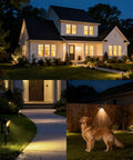Outdoor All-Weather Landscape LED Spotlight Kit illuminating garden, pathway, and house at night