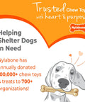 Illustration of a dog with a bone chew toy, text about Nylabone's donation to shelter dogs with Trusted Chew Toys branding.