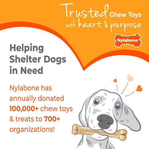 Illustration of a dog with a bone chew toy, text about Nylabone's donation to shelter dogs with Trusted Chew Toys branding.