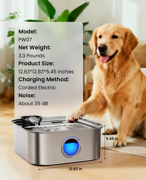 Golden retriever beside Large Dog Water Fountain 10L Stainless Steel Automatic Water Dispenser With Deeper And Wider Drinking Area