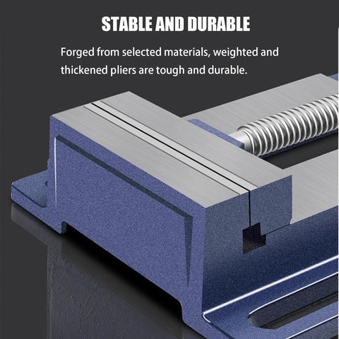 PurezmMoto 5in small fixed table vise with blue base and silver jaws