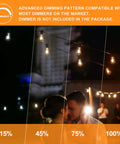 Couple under dimmable 200Ft Outdoor String Lights Two Pack Vintage Edison LED Bulbs Shatterproof ST38 HalfWatt Warm 2200K
