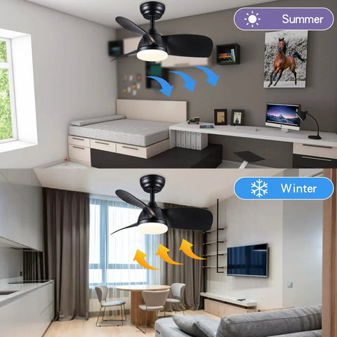 Black Ceiling Fan With Lights And Remote 28 Inch Modern Ceiling Fan With Quiet DC Motor 5 Speed Settings Reversible Blades Ideal For Living Room Bedroom Patio Indoors Or Outdoors shown in seasonal settings