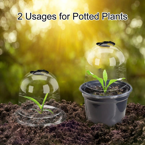 Six Pack Garden Cloche Domes 7.3 Inch Diameter ☀️