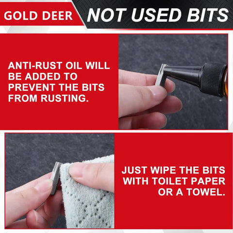 Badass Security Torx Bit Set With Magnetic Extension Holder And L Spanner Tamper Resistant Star Drive Bits Metric Imperial Hex Key Wrench Garage Essentials maintenance process showing anti-rust oil application on bits.