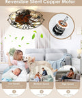 Reversible silent copper motor of caged ceiling fan with light remote control 5 bulbs 6 speeds 20 inch black farmhouse style