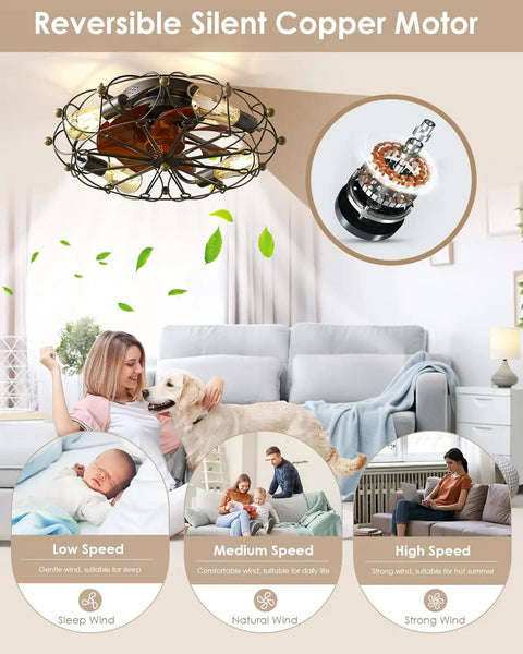 Reversible silent copper motor of caged ceiling fan with light remote control 5 bulbs 6 speeds 20 inch black farmhouse style