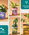 Colorful Grow Kit Set For Beginners Pack Of Four Seed Starter Kit With Organic Strawberry Tomato Sunflower And Cactus Seeds Gift