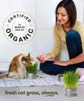 Indoor Cat Grass Kit For Healthy Cats With Three Complete Organic Planter Kits To Grow Your Own Cat Grass From Organic Seeds