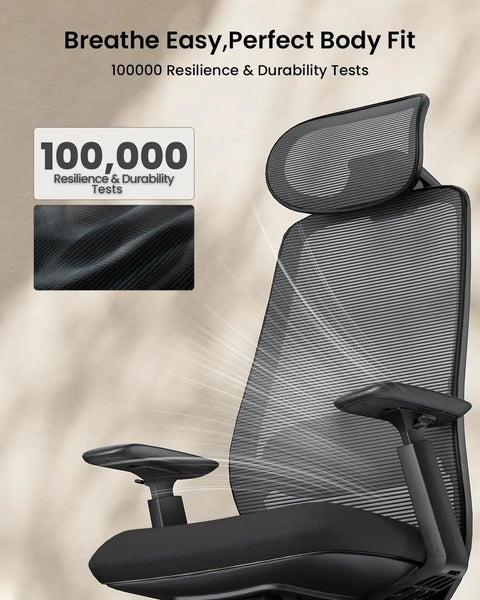 EC200 Ergonomic Office Chair With High Back Mesh Lumbar Support 3D Adjustable Headrest and Durability Test Label